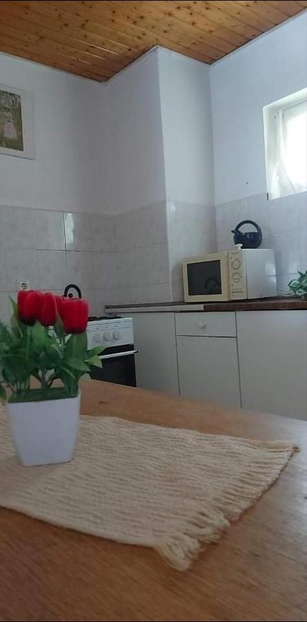 Badacsonyi Pihenes Privat Berlemeny Hotell Badacsonytomaj Eksteriør bilde